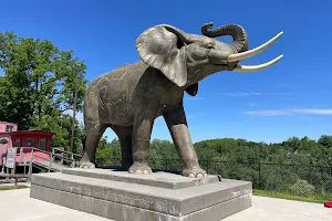 Jumbo the Elephant Memorial image