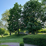 Photo n°4 de l'avis de Daggy. fait le 18/06/2023 à 15:50 sur le  Romantik Hotel Dorotheenhof Weimar à Weimar