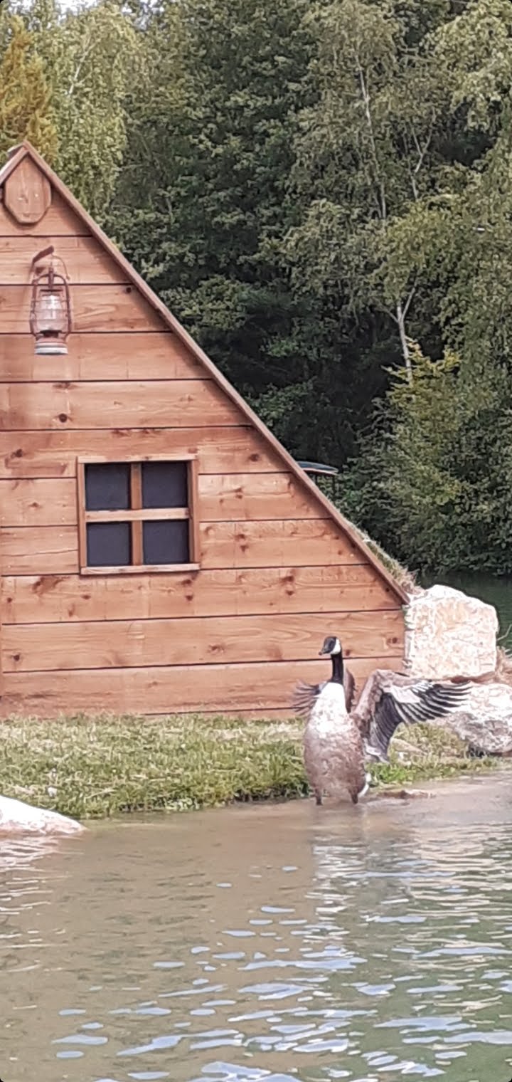 Photo n° 1 de l'avis de Gitton.a fait le 16/08/2023 à 19:06