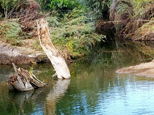 Wildlife Park «Willow Spring Open Space», reviews and photos, 7100 S Holly St, Centennial, CO 80112, USA