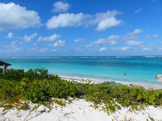 Anegada beach