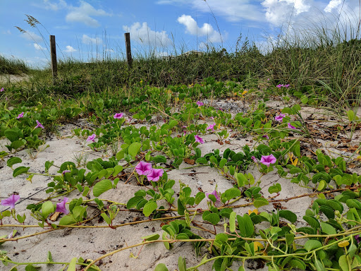 Museum «Navy UDT-SEAL Museum», reviews and photos, 3300 N Hwy A1A, Fort Pierce, FL 34949, USA