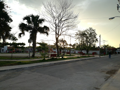 Parque Los Cedros