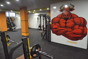Gymnasium Fitness Club image