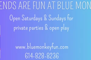 Blue Monkey Parties & Events image