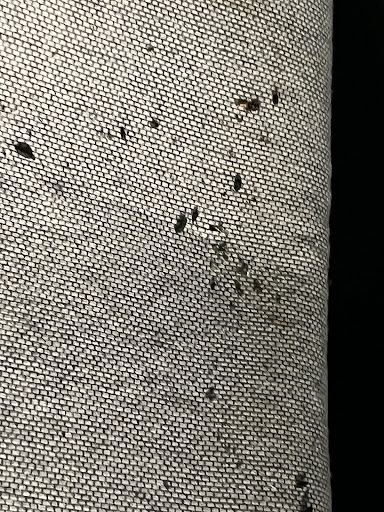 Self-Storage Facility «Morningstar Storage», reviews and photos, 646 W Hill St, Louisville, KY 40208, USA