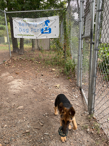 Dog Park «Beverly Dog Park», reviews and photos, L P Henderson Rd, Beverly, MA 01915, USA