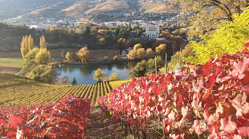 Domaines Rouvinez à Sierre