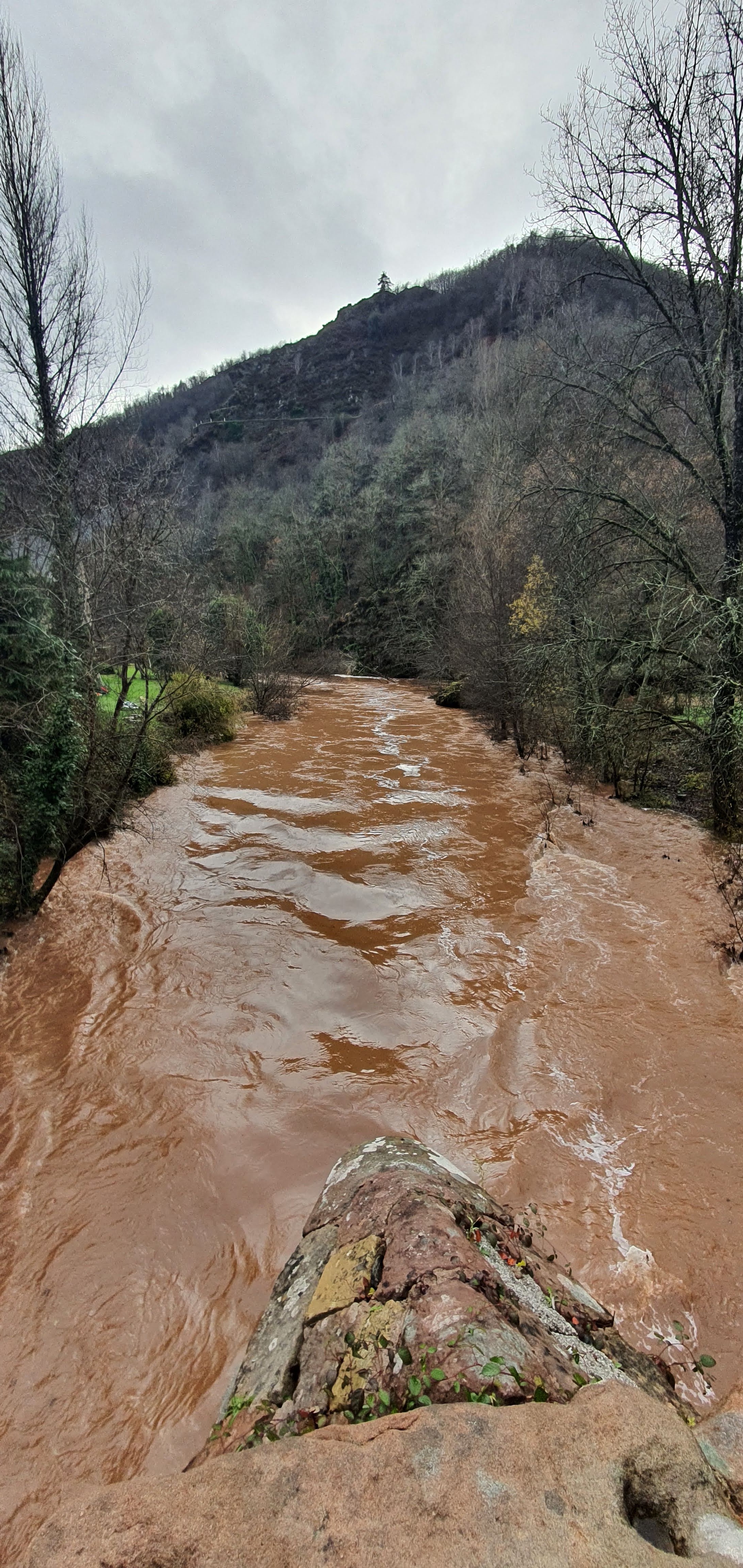 Photo n° 7 de l'avis de Luc. fait le 19/12/2021 à 11:27