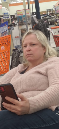 Discount Store «Big Lots», reviews and photos, 1751 Homer M Adams Pkwy, Alton, IL 62002, USA