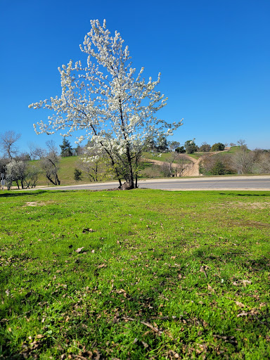 Woodward Park (Fresno)