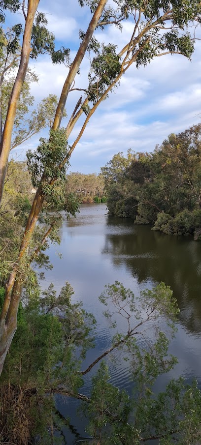 Goondiwindi Bridge