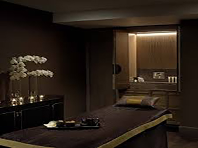 Harmony Spa 60706
