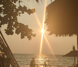 Patty's Secret Garden by the Sea photo