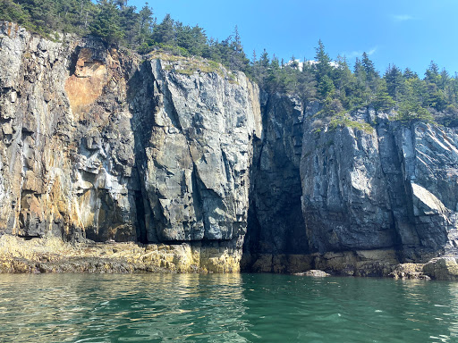 Tourist Information Center «Coastal Kayaking Tours Inc», reviews and photos, 48 Cottage St, Bar Harbor, ME 04609, USA