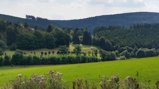 Tierärztliche Praxis für Groß- und Kleintiere Carolin Stolpe unter Willingen, 
