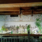 Photo n°42 de l'avis de Manuela.a fait le 20/06/2019 à 15:14 sur le  Steinbruchsee à Furth im Wald