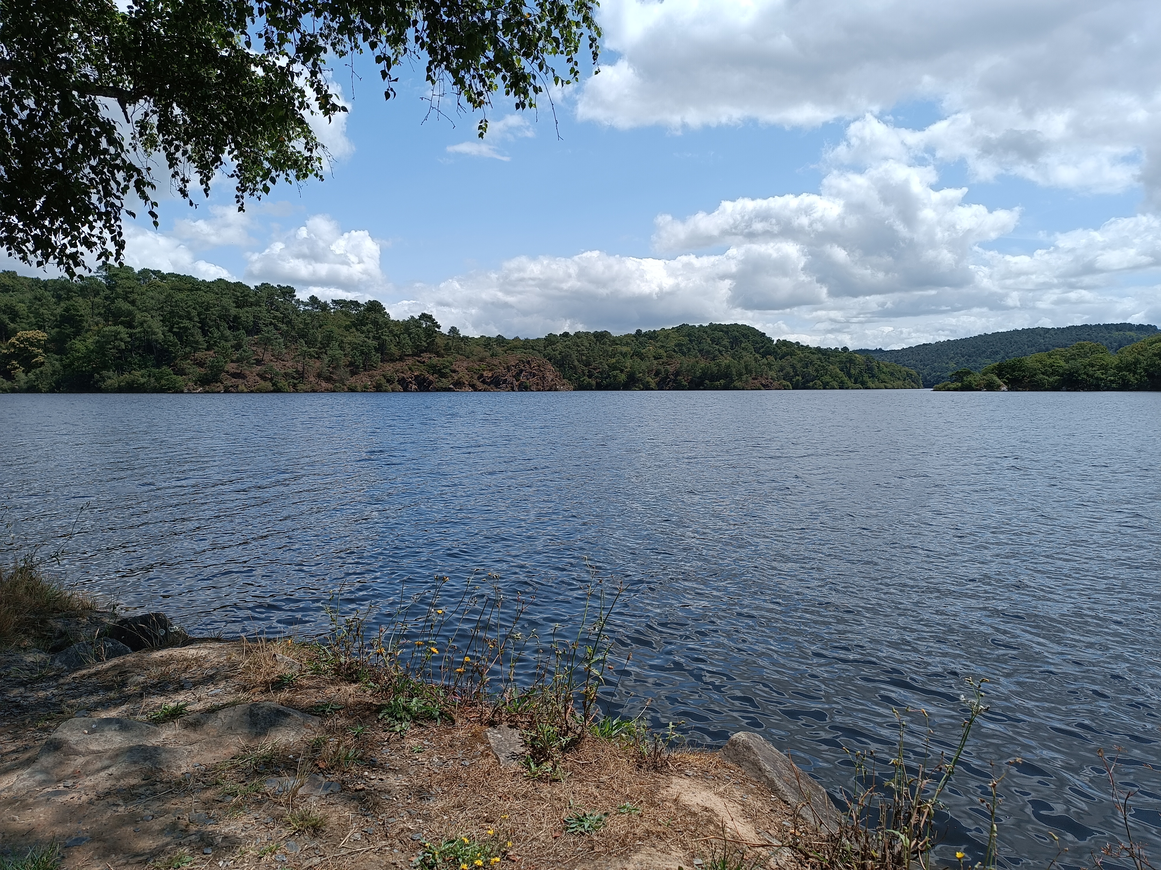 Photo n° 2 de l'avis de Balthyzar.l fait le 12/07/2023 à 17:02