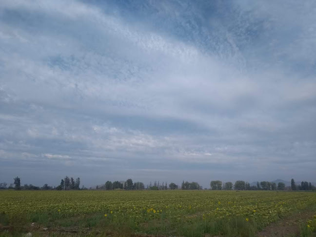 San Adolfo, San Bernardo, Región Metropolitana, Chile