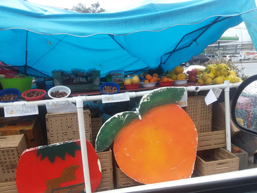 Gas Station «RaceWay», reviews and photos, 1406 St Augustine Rd, Valdosta, GA 31602, USA