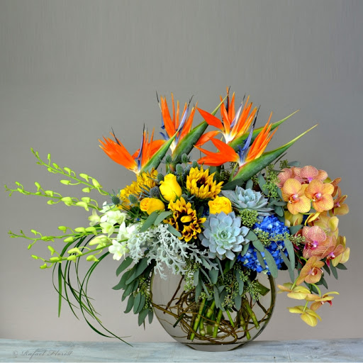 Florist «Rafael Florist», reviews and photos, 891 4th St, San Rafael, CA 94901, USA