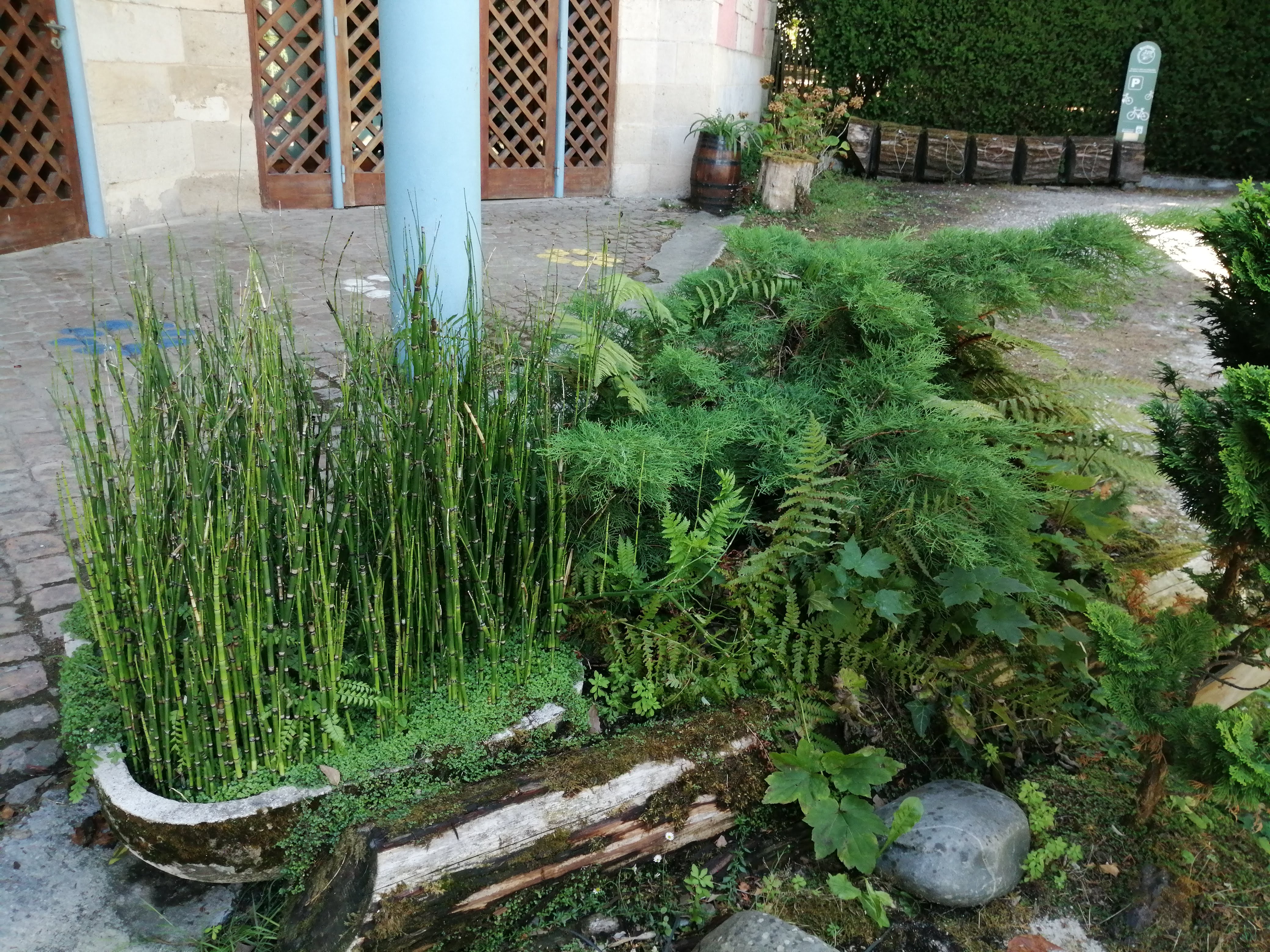 Photo n° 2 de l'avis de martine.o fait le 14/08/2020 à 20:40