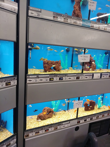 Pet Supply Store «Petco Animal Supplies», reviews and photos, 1350 S Ironton St #120, Aurora, CO 80012, USA