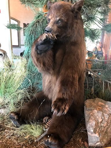 Nature Preserve «Lookout Mountain Nature Center and Preserve», reviews and photos, 910 Colorow Rd, Golden, CO 80401, USA