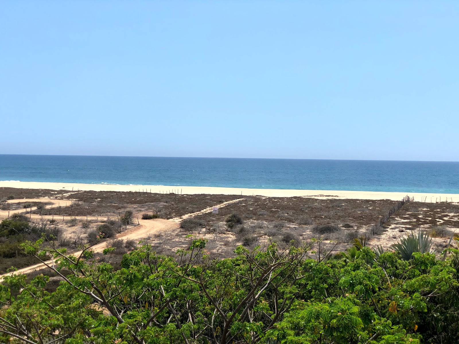 Foto av Playa Coyoc vildmarksområde