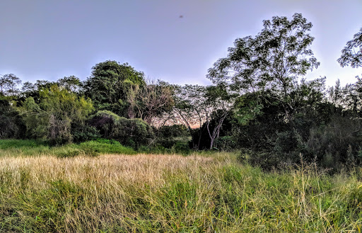 Park «McKelvey Park», reviews and photos, 1325 S 77 Sunshine Strip, Harlingen, TX 78550, USA