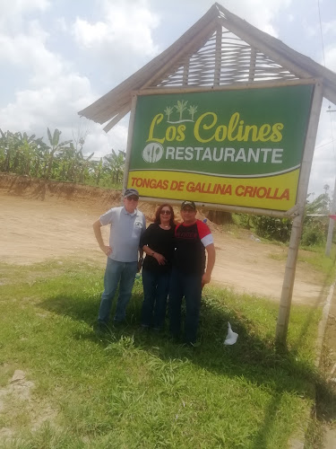 Los Colines - El Carmen