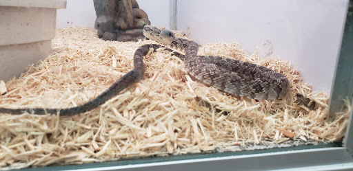 Pet Supply Store «Pet Supermarket, Inc.», reviews and photos, 9294 Kingston Pike, Knoxville, TN 37922, USA