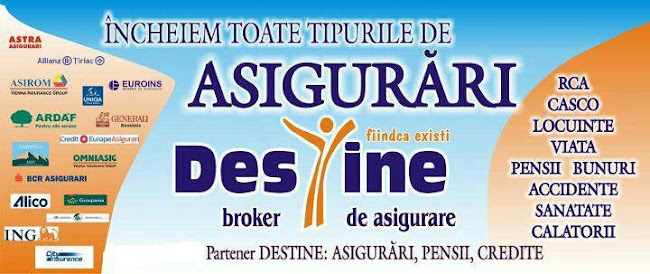 Cracana Cosmin Consultant Asigurari ( Partener Destine Broker) - <nil>