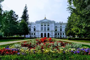 Universitetskaya Roshcha image