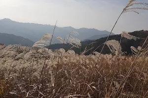 화왕산군립공원 옥천매표소 image
