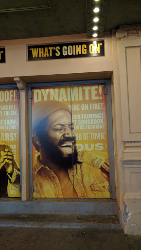 Performing Arts Theater «Nederlander Theatre», reviews and photos, 208 W 41st St, New York, NY 10036, USA