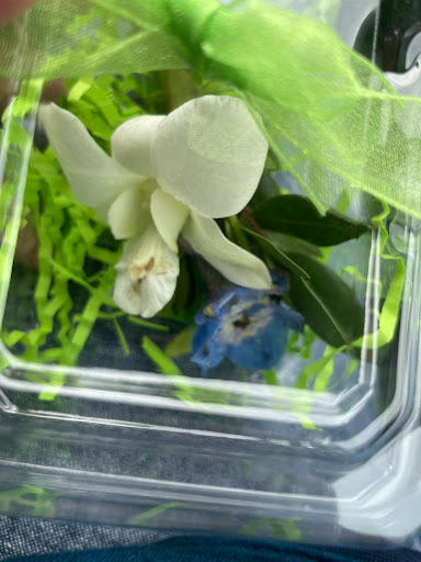 Florist «Flower Patch», reviews and photos, 560 500 W, Bountiful, UT 84010, USA