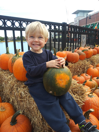 Mexican Restaurant «QDOBA Mexican Eats», reviews and photos, 1082 Town and Country Crossing Dr, Town and Country, MO 63017, USA