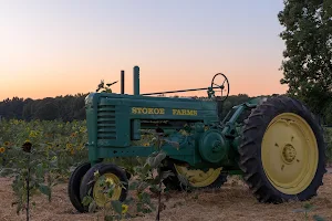 Stokoe Farms image