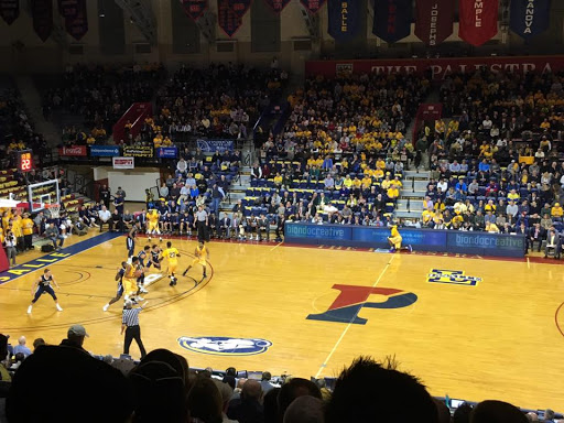 Website Designer «Biondo Creative», reviews and photos, 1114 Tabor Terrace, Philadelphia, PA 19111, USA