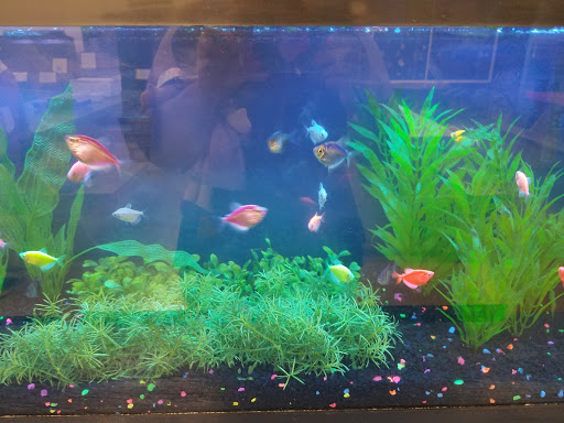 Aquarium «Biomes Marine Biology Center», reviews and photos, 6640 Post Rd, North Kingstown, RI 02852, USA