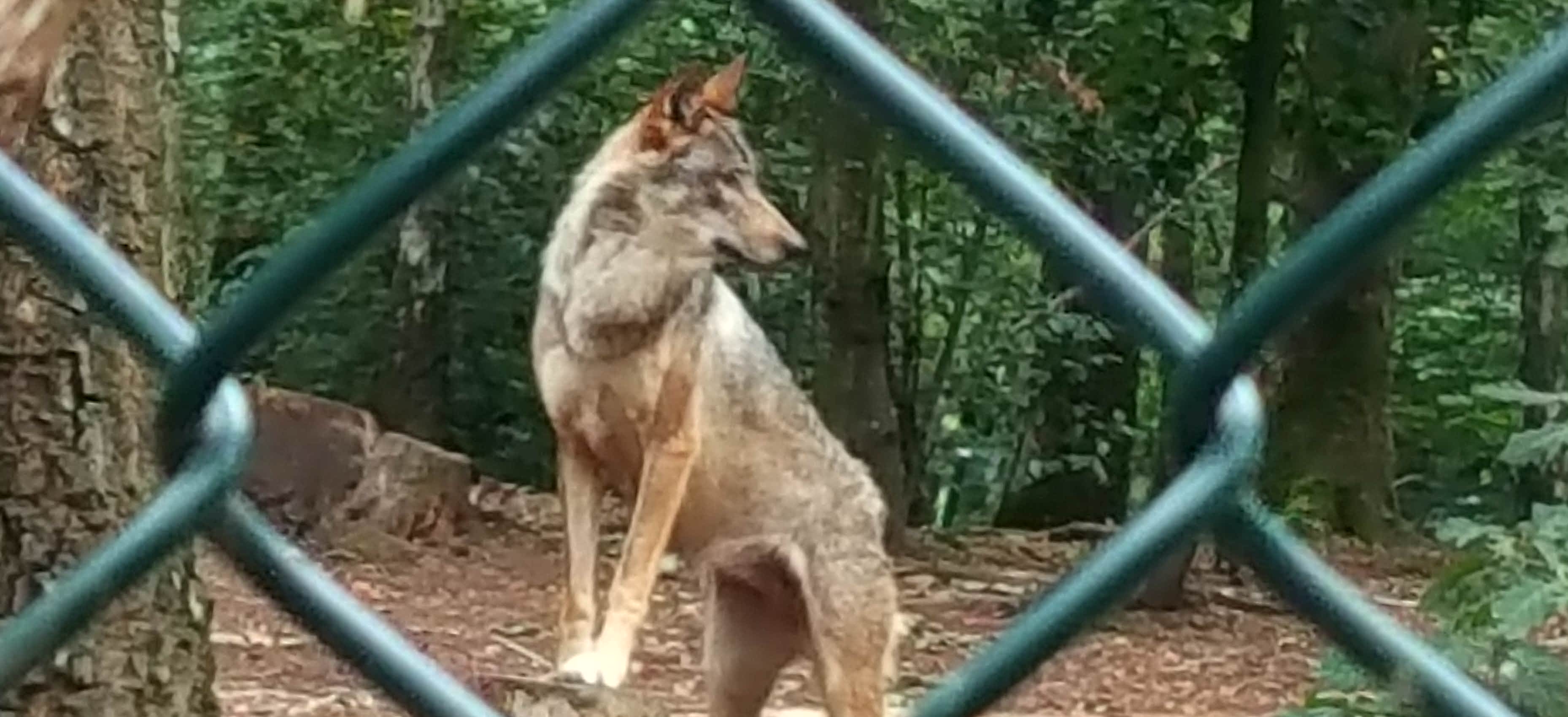 Photo n° 1 de l'avis de Dany.e fait le 09/08/2019 à 18:02