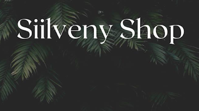 Siilveny Shop à Sélestat