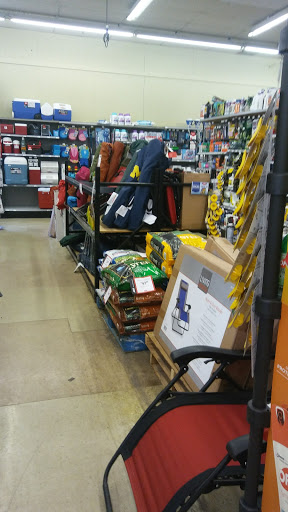 Hardware Store «Great Lakes Ace Hardware», reviews and photos, 132 Merriman Rd, Westland, MI 48186, USA