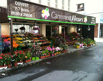Carrément Fleurs - Fleuriste Toulouse Balma 31 - Livraison de fleurs à domicile