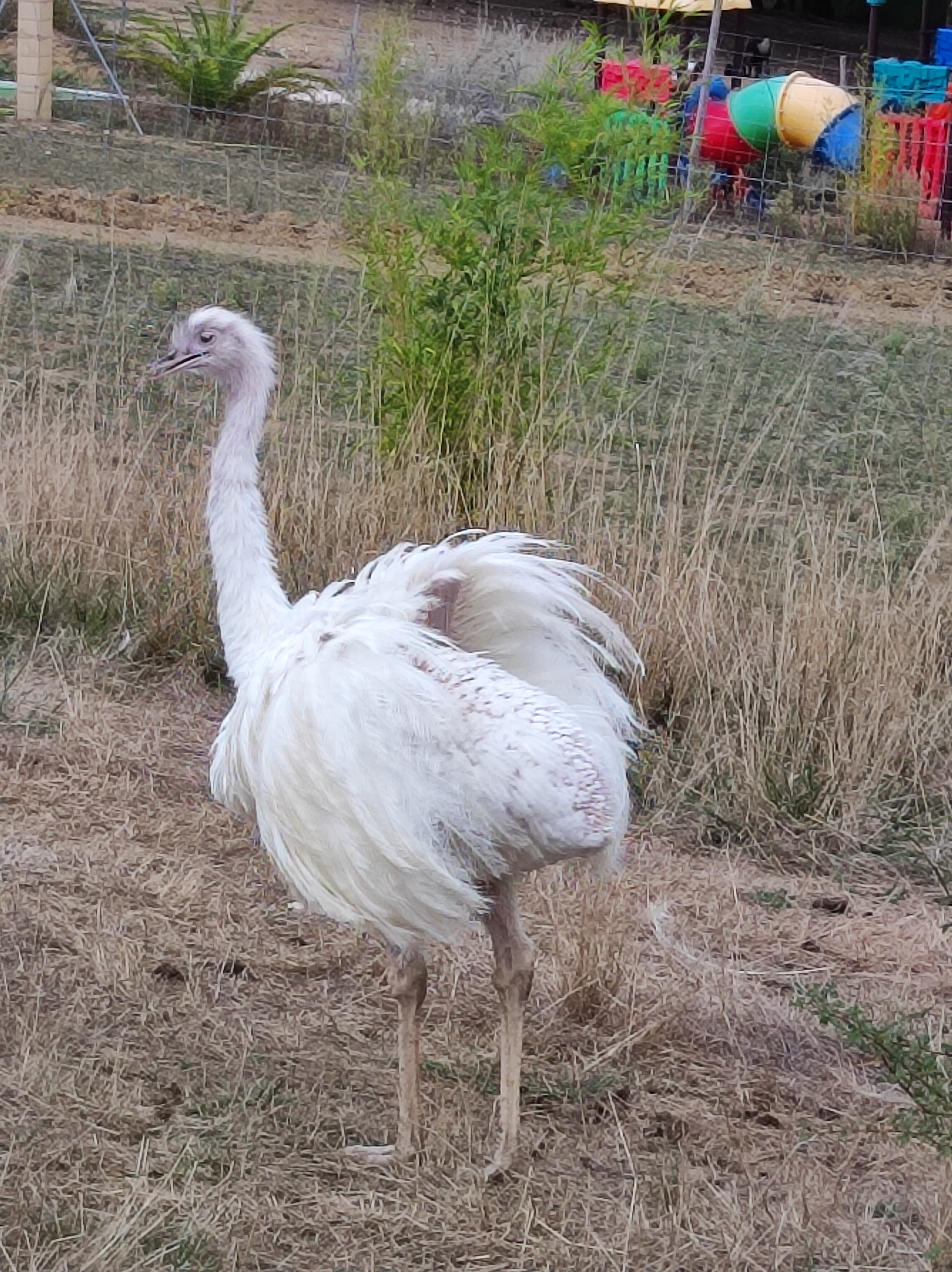 Photo n° 9 de l'avis de jean-luc. fait le 15/09/2022 à 21:02