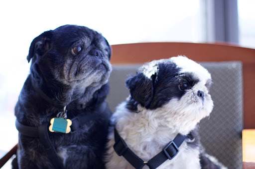 Auto Insurance Agency «MCKENNA INSURANCE SERVICES», reviews and photos