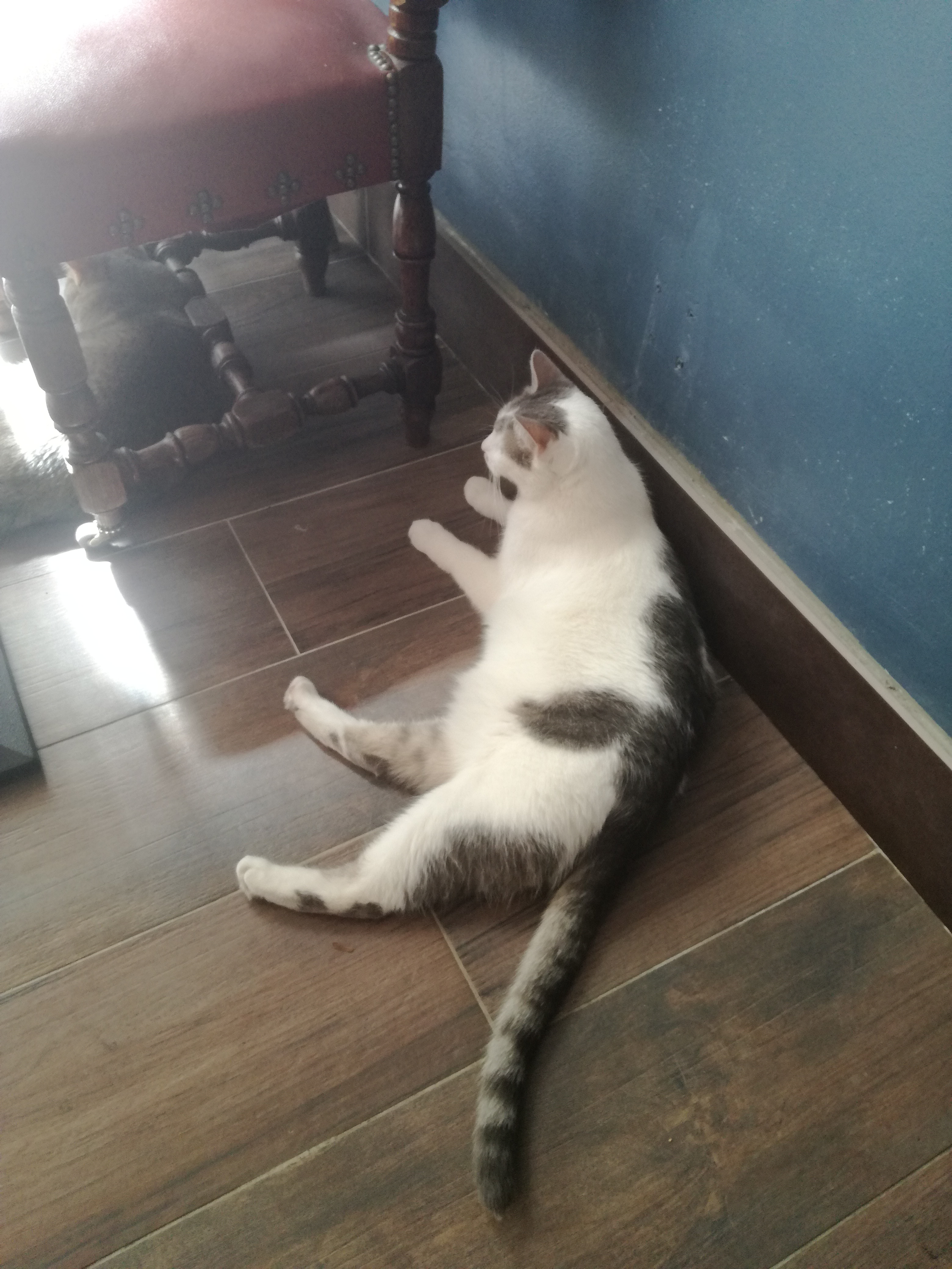 Photo n° 3 de l'avis de Mathou.r fait le 12/07/2019 à 07:27