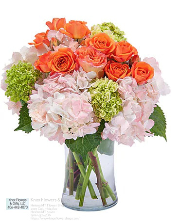Florist «Knox Flowers & Gifts», reviews and photos, 2005 Columbia Ave, Helena, MT 59601, USA
