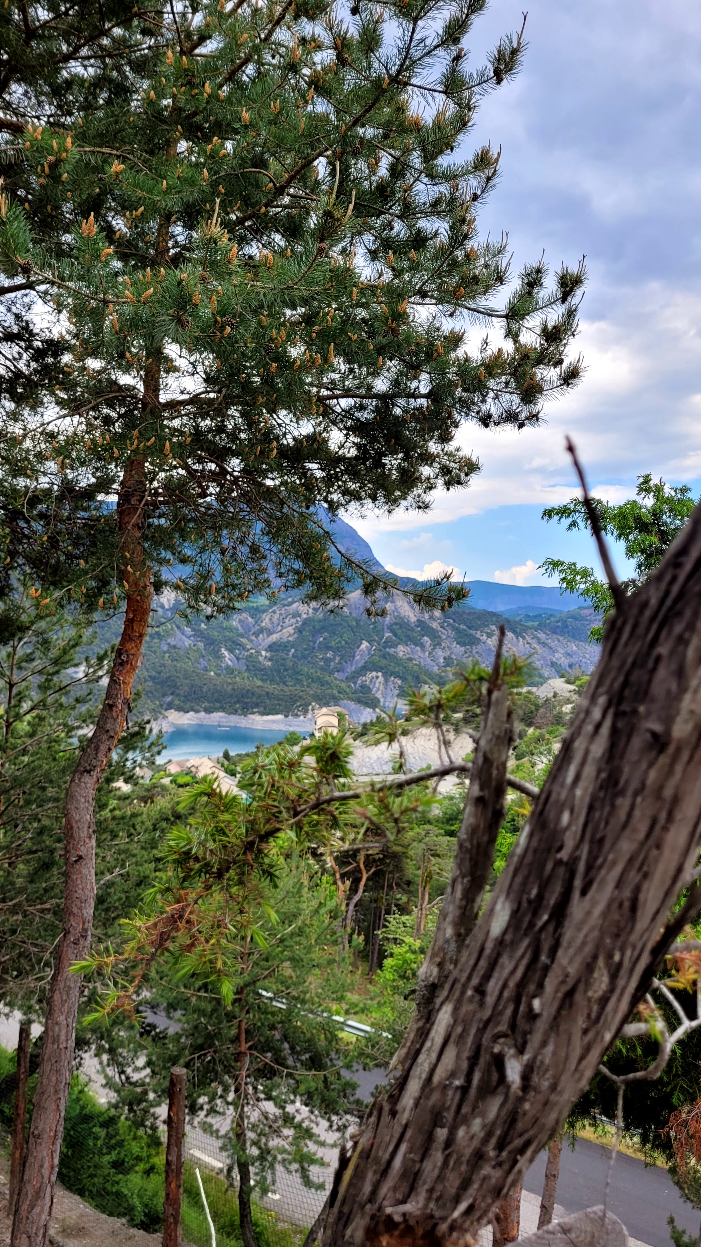 Photo n° 24 de l'avis de PASSIONS.O fait le 24/05/2023 à 09:56